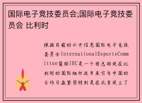 国际电子竞技委员会;国际电子竞技委员会 比利时