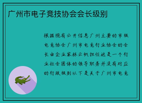 广州市电子竞技协会会长级别